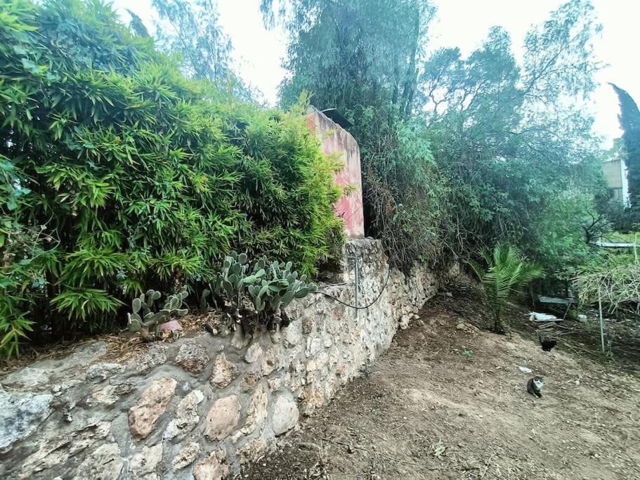 Casa Rural En El Campo Con Animales, Piscina Y Barbacoa Альмодовар-дель-Ріо Екстер'єр фото