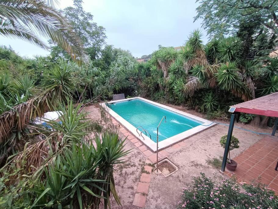 Casa Rural En El Campo Con Animales, Piscina Y Barbacoa Альмодовар-дель-Ріо Екстер'єр фото