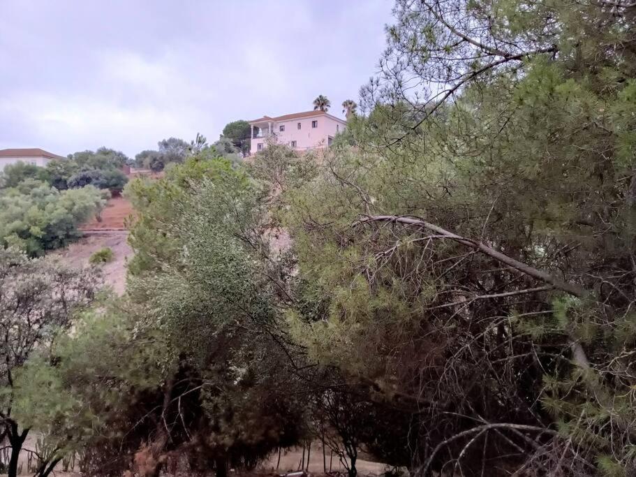 Casa Rural En El Campo Con Animales, Piscina Y Barbacoa Альмодовар-дель-Ріо Екстер'єр фото