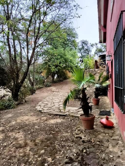 Casa Rural En El Campo Con Animales, Piscina Y Barbacoa Альмодовар-дель-Ріо Екстер'єр фото
