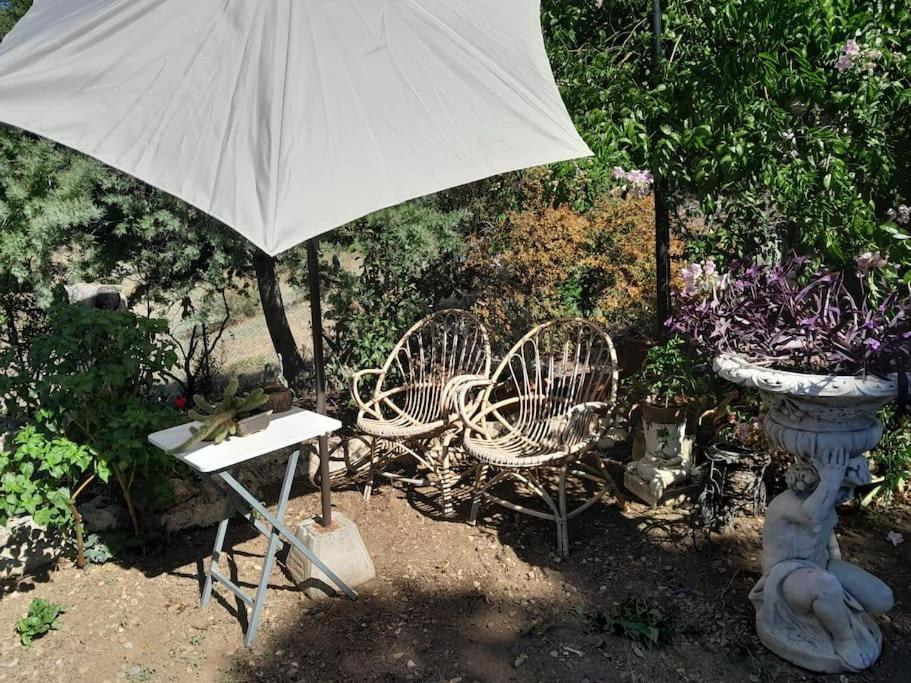 Casa Rural En El Campo Con Animales, Piscina Y Barbacoa Альмодовар-дель-Ріо Екстер'єр фото